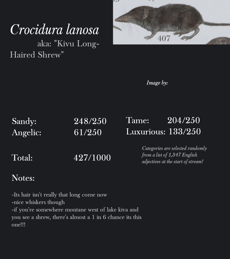 Crocidura lanosa